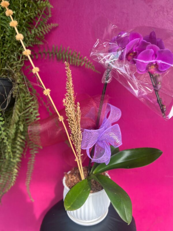 Orquídea na Louça (Vaso de Cerâmica)