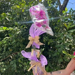 Orquídea premium roxa com efeito cascata em embalagem elegante para presente em Goiânia