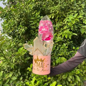 Orquídea Encanto Personalizado