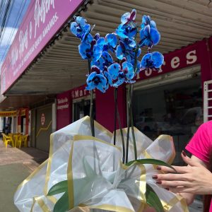 Orquídea no Embrulho Simples com Laço